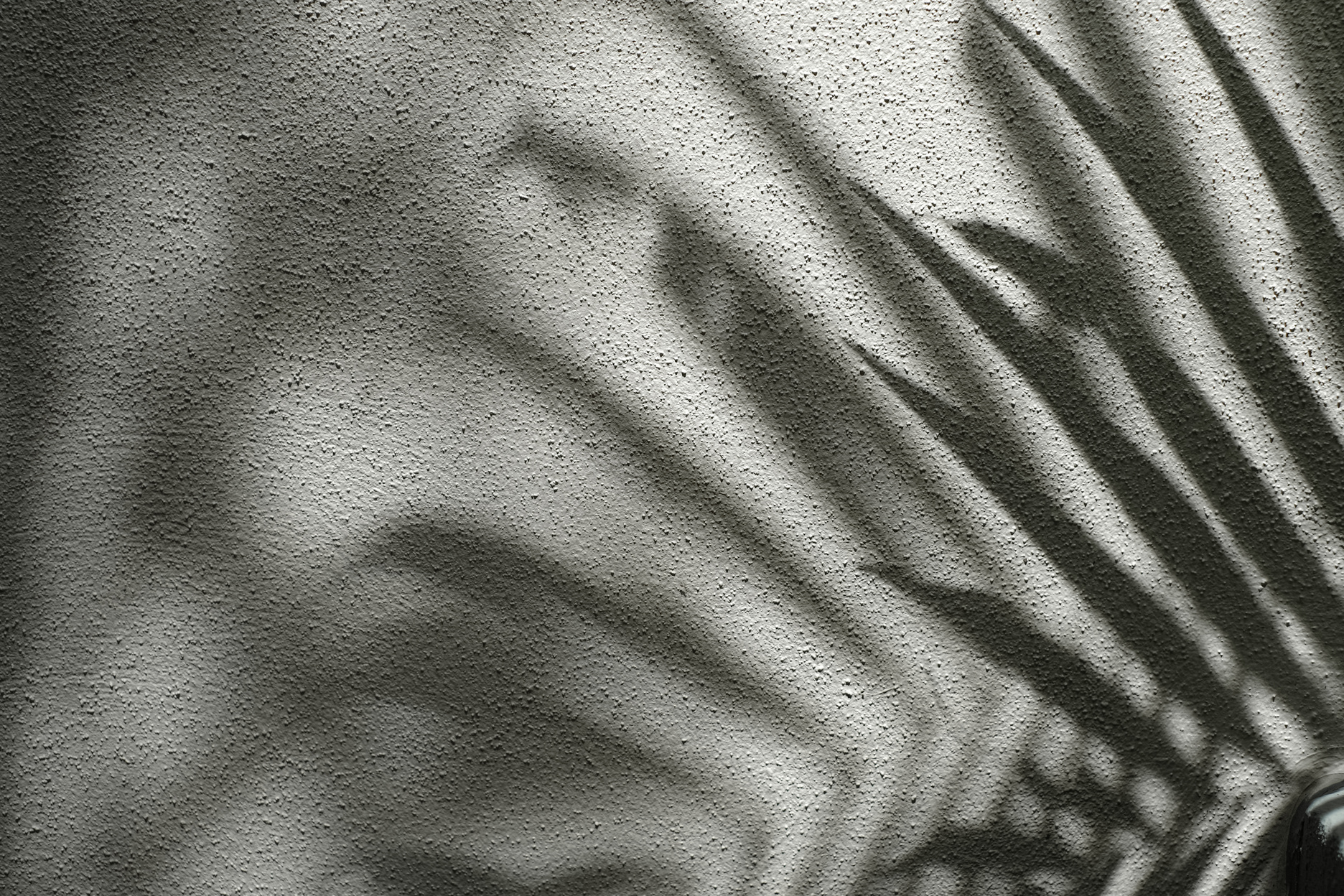 Shadows of Palm Leaves 