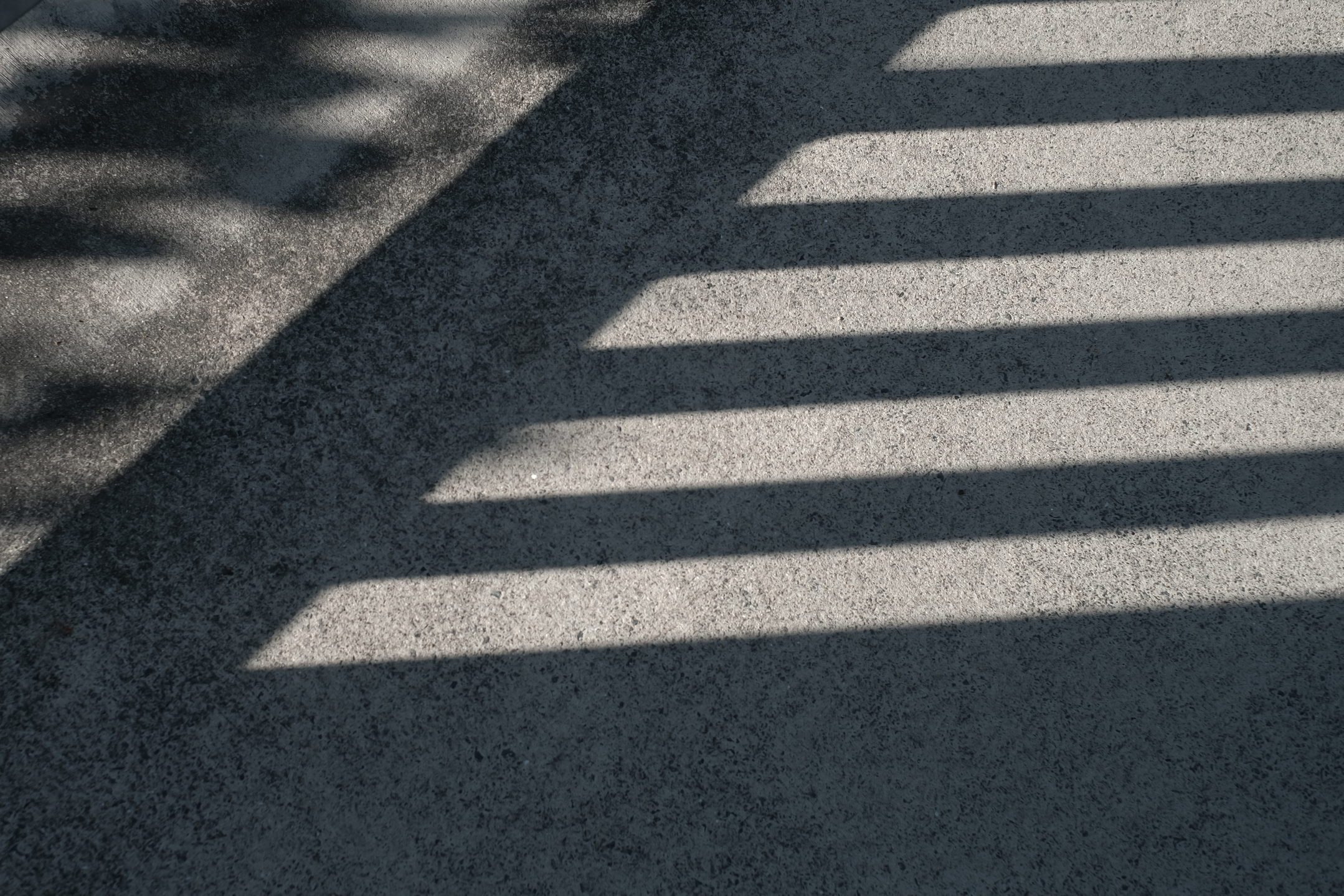 Shadows on Concrete Background 